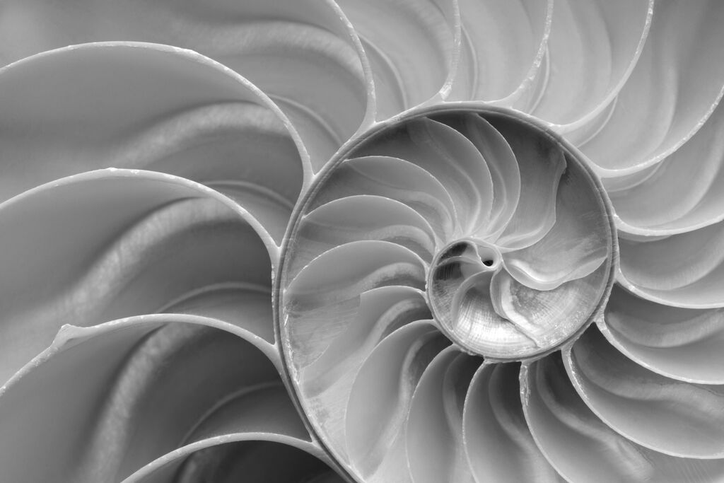 le 33 competenze da sviluppare nel 2023